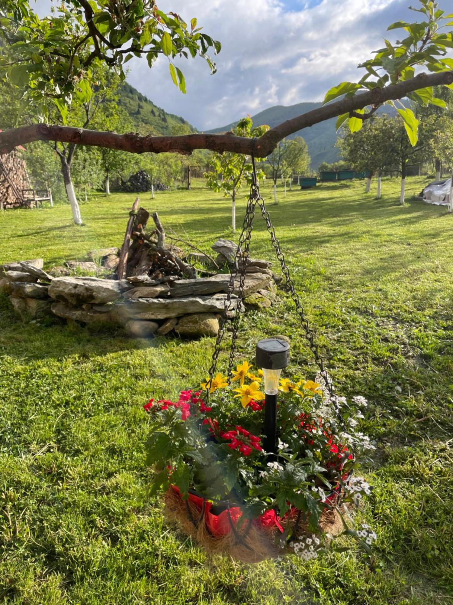 Casa Bunicilor Hotel Nuksora Kültér fotó